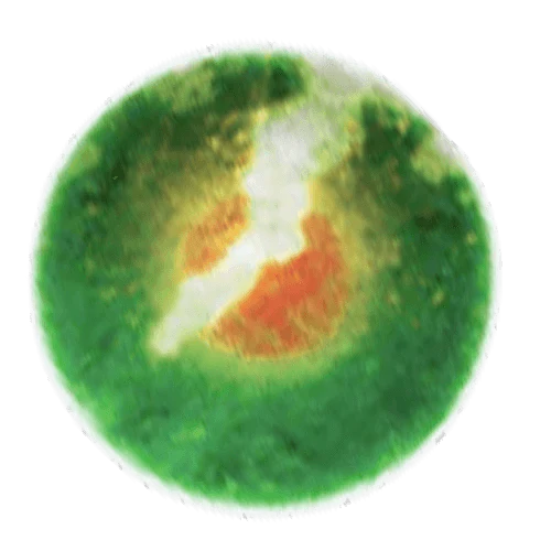 PESTICIDEN